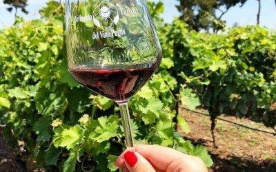 Los 26 vinos DOC de Puglia: selección para su boda en Apulia