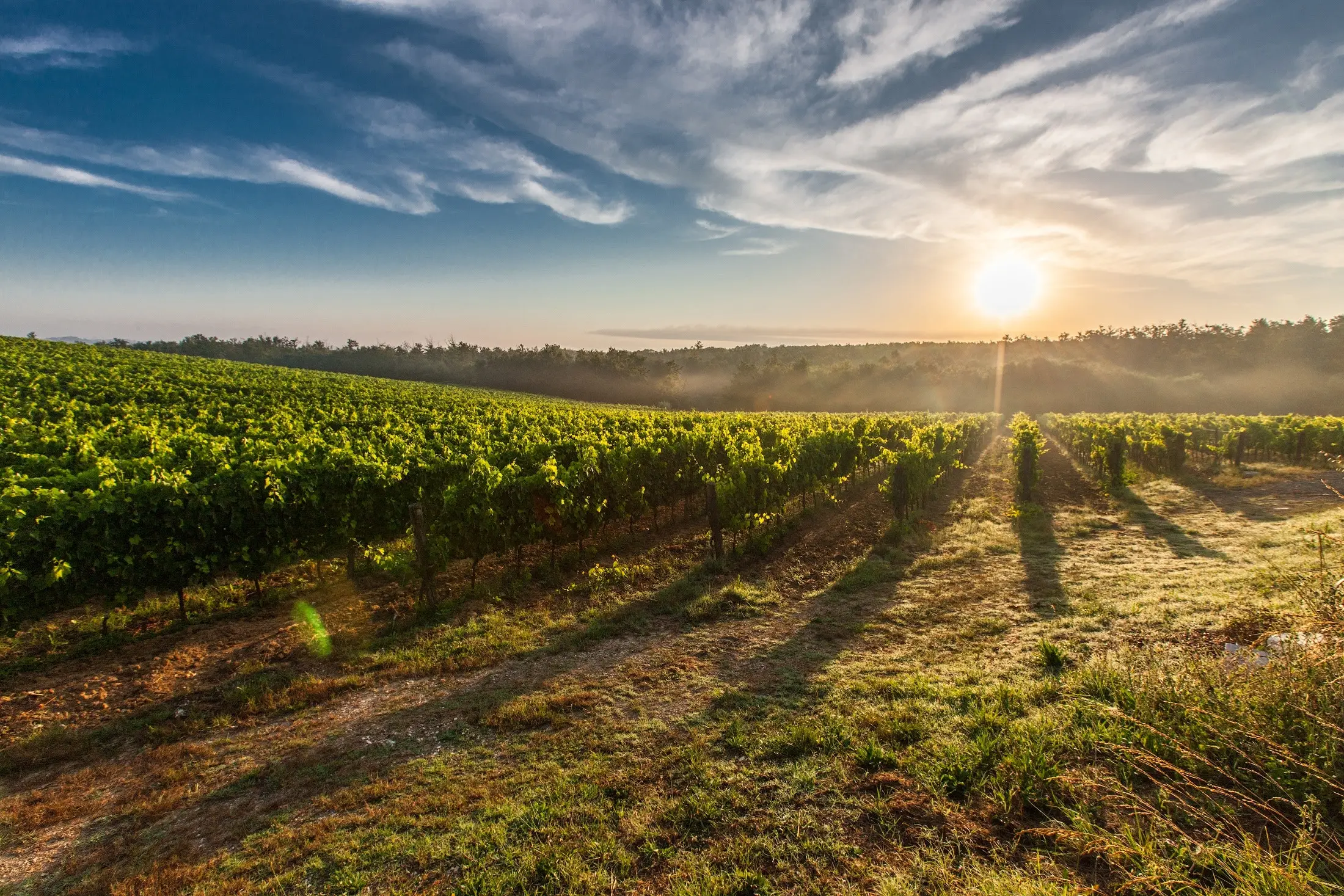 elope in tuscany